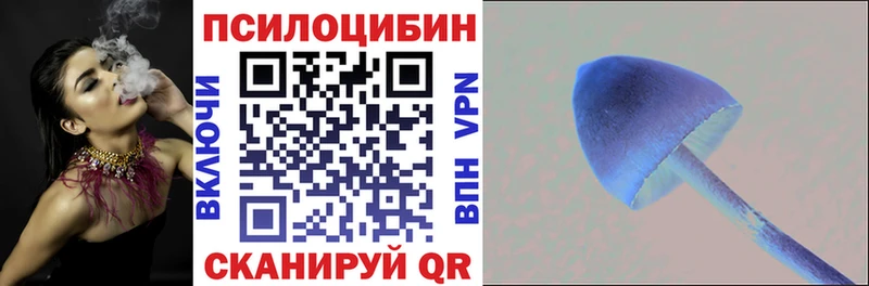 Купить где  Туринск  Галлюциногенные грибы Psilocybine cubensis 